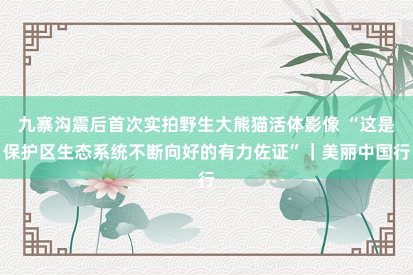 九寨沟震后首次实拍野生大熊猫活体影像 “这是保护区生态系统不断向好的有力佐证”｜美丽中国行