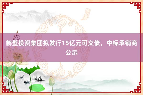 鹤壁投资集团拟发行15亿元可交债,中标承销商公示