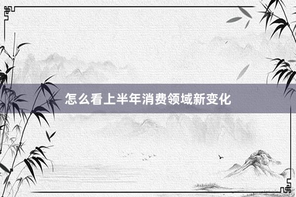 怎么看上半年消费领域新变化