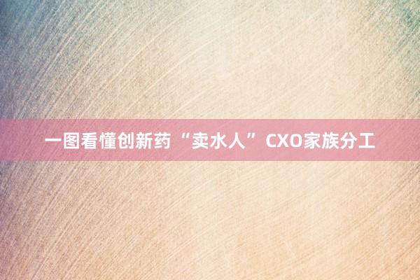 一图看懂创新药 “卖水人” CXO家族分工