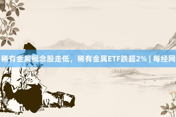 稀有金属概念股走低，稀有金属ETF跌超2% | 每经网