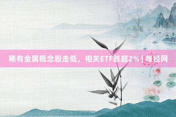 稀有金属概念股走低，相关ETF跌超2% | 每经网