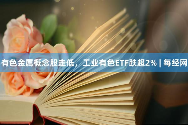 有色金属概念股走低，工业有色ETF跌超2% | 每经网