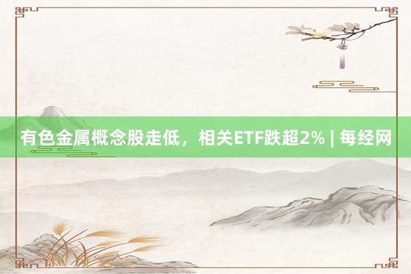 有色金属概念股走低，相关ETF跌超2% | 每经网