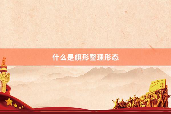 什么是旗形整理形态