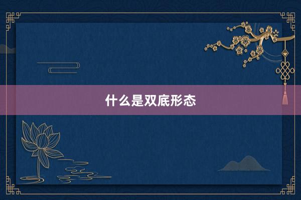 什么是双底形态