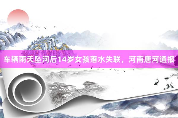 车辆雨天坠河后14岁女孩落水失联，河南唐河通报