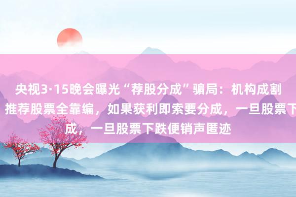 央视3·15晚会曝光“荐股分成”骗局:机构成割肉“骗子窝”,推荐股票全靠编,如果获利即索要分成,一旦股票下跌便销声匿迹