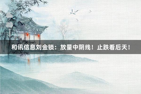 和讯信息刘金锁：放量中阴线！止跌看后天！