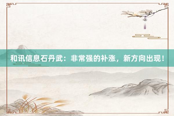 和讯信息石丹武：非常强的补涨，新方向出现！