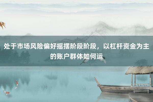 处于市场风险偏好摇摆阶段阶段，以杠杆资金为主的账户群体如何运