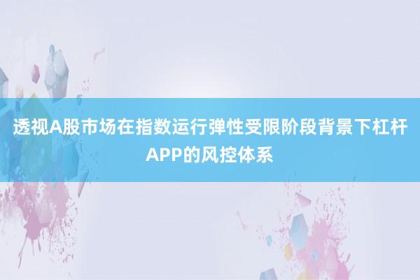 透视A股市场在指数运行弹性受限阶段背景下杠杆APP的风控体系