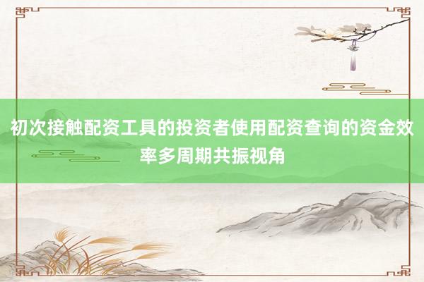 初次接触配资工具的投资者使用配资查询的资金效率多周期共振视角