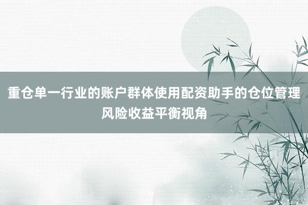 重仓单一行业的账户群体使用配资助手的仓位管理风险收益平衡视角