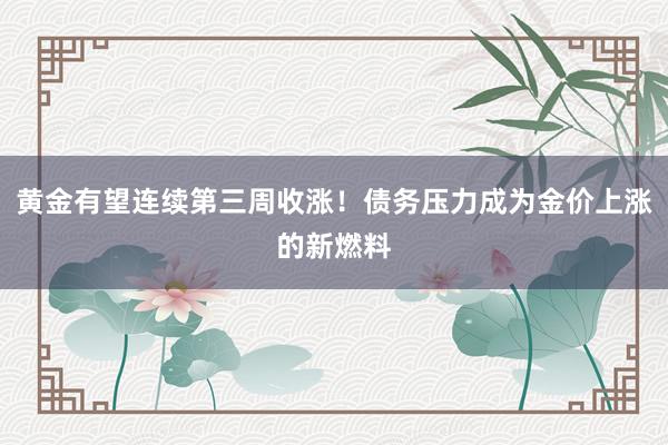 黄金有望连续第三周收涨！债务压力成为金价上涨的新燃料