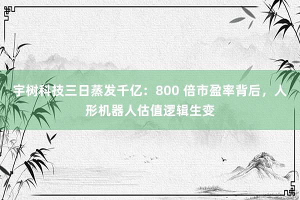 宇树科技三日蒸发千亿：800 倍市盈率背后，人形机器人估值逻辑生变