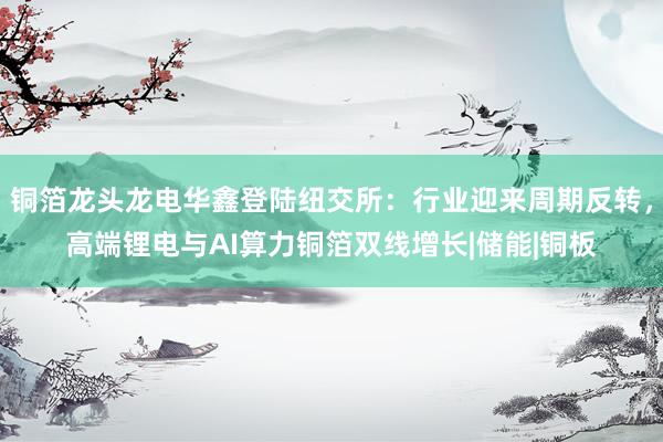 铜箔龙头龙电华鑫登陆纽交所：行业迎来周期反转，高端锂电与AI算力铜箔双线增长|储能|铜板