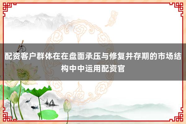 配资客户群体在在盘面承压与修复并存期的市场结构中中运用配资官