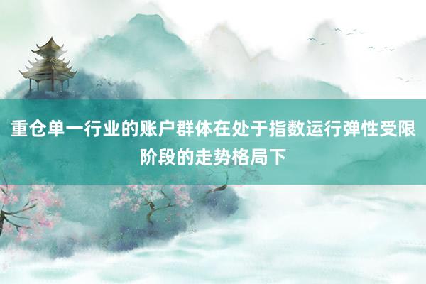 重仓单一行业的账户群体在处于指数运行弹性受限阶段的走势格局下