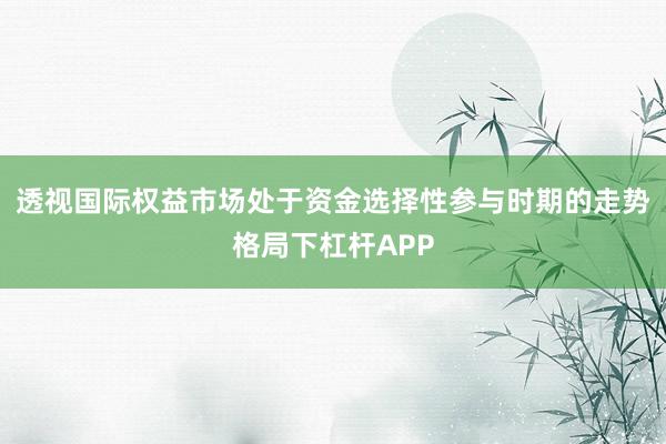 透视国际权益市场处于资金选择性参与时期的走势格局下杠杆APP
