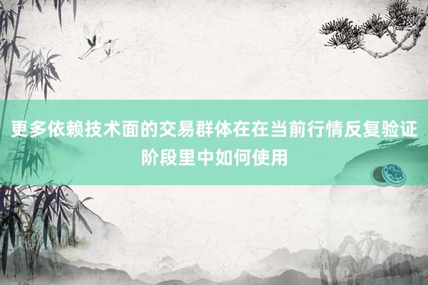 更多依赖技术面的交易群体在在当前行情反复验证阶段里中如何使用