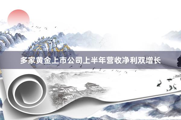多家黄金上市公司上半年营收净利双增长