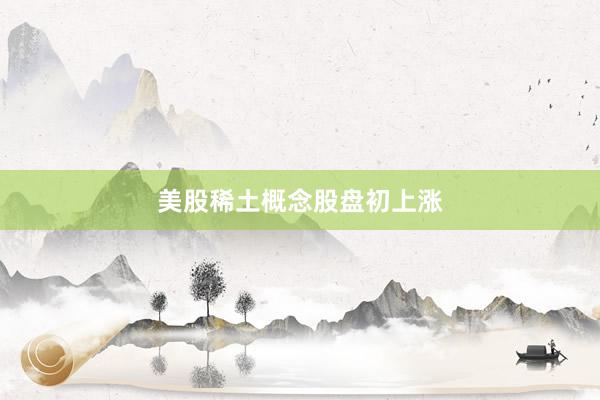 美股稀土概念股盘初上涨