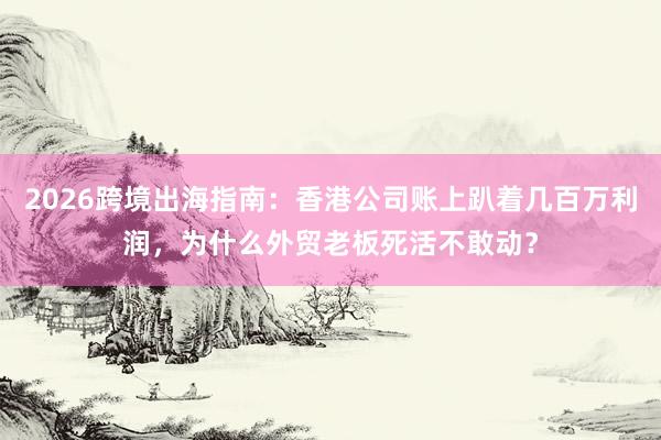 2026跨境出海指南：香港公司账上趴着几百万利润，为什么外贸老板死活不敢动？