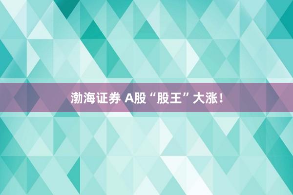渤海证券 A股“股王”大涨！