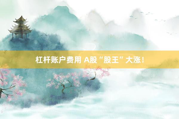杠杆账户费用 A股“股王”大涨！