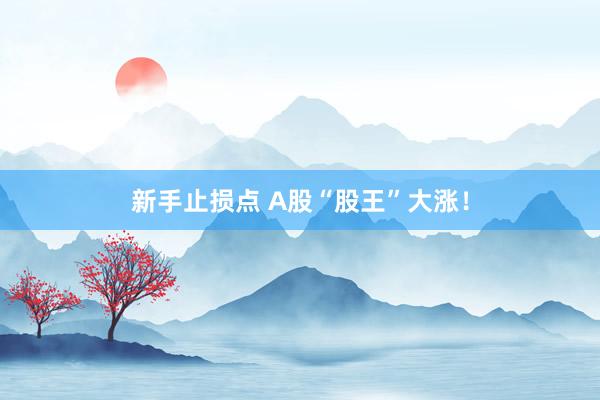 新手止损点 A股“股王”大涨！