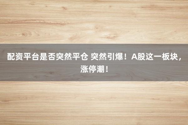 配资平台是否突然平仓 突然引爆！A股这一板块，涨停潮！