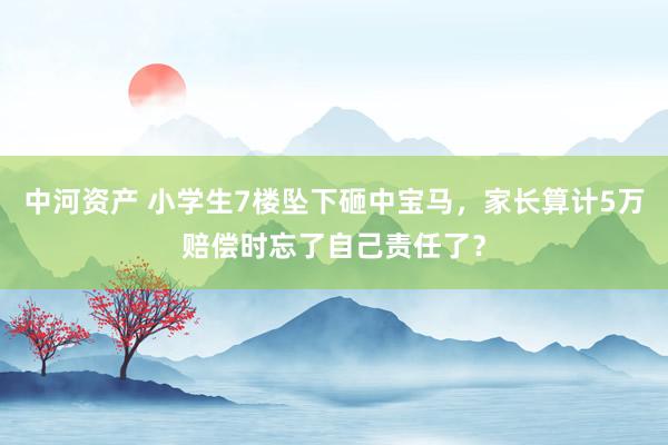 中河资产 小学生7楼坠下砸中宝马,家长算计5万赔偿时忘了自己责任了?