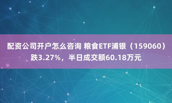 配资公司开户怎么咨询 粮食ETF浦银（159060）跌3.27%，半日成交额60.18万元